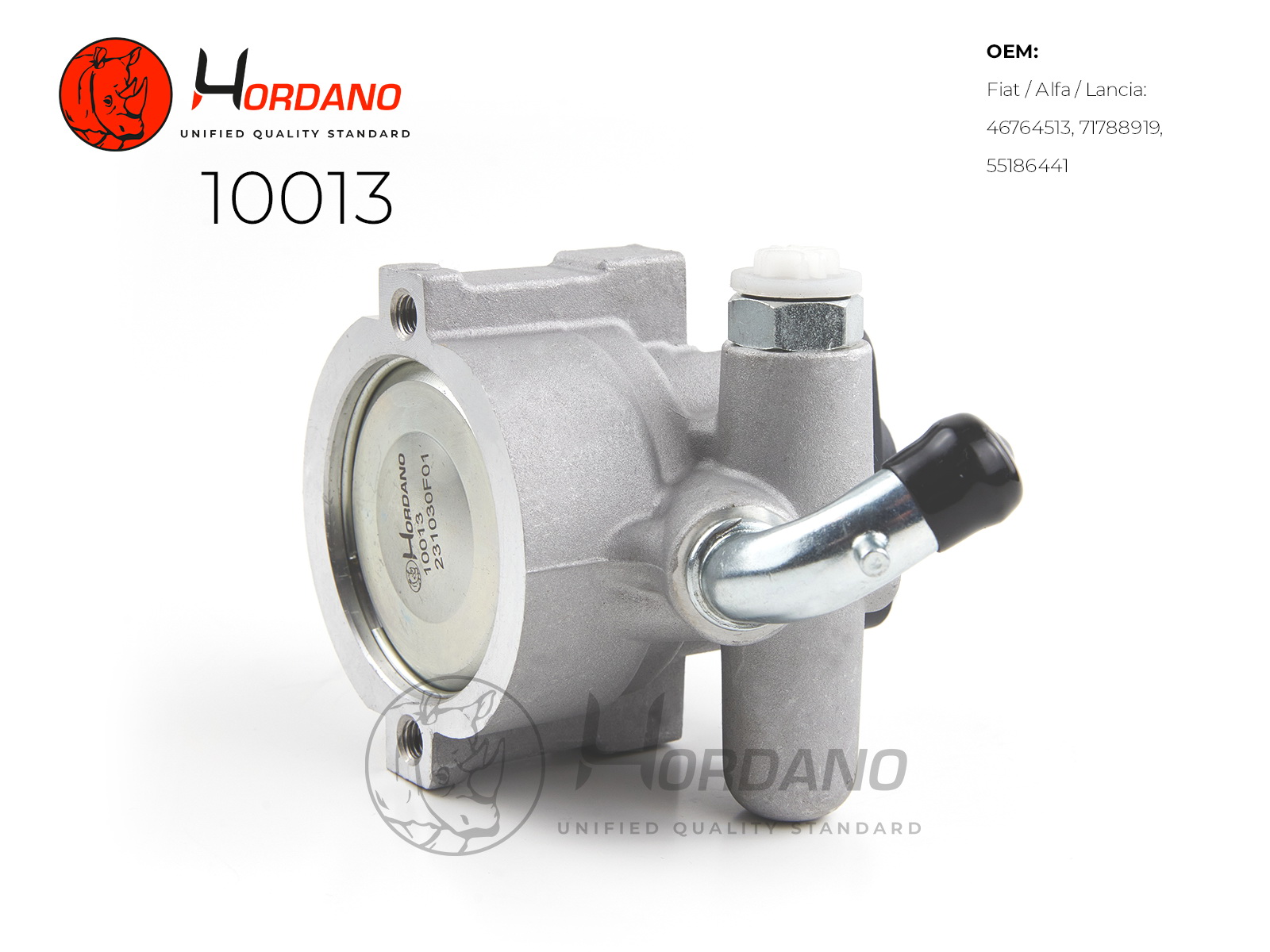 10013 — Насос ГУР HORDANO