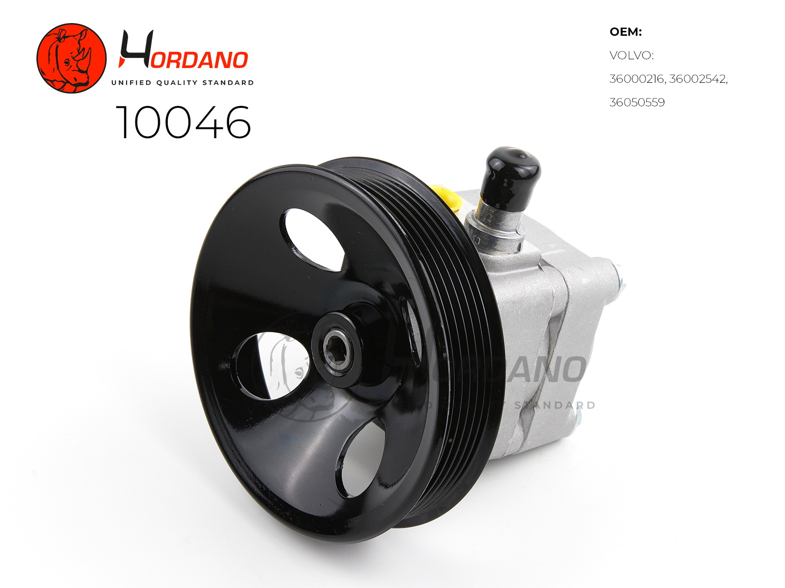 10046 — Насос ГУР HORDANO