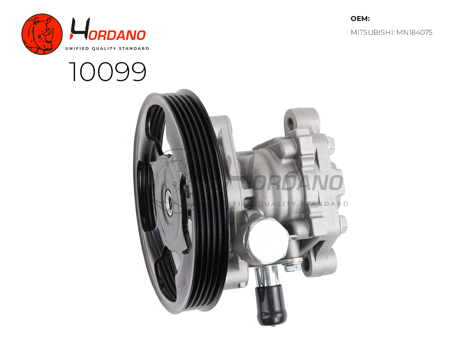10099 — Насос ГУР HORDANO