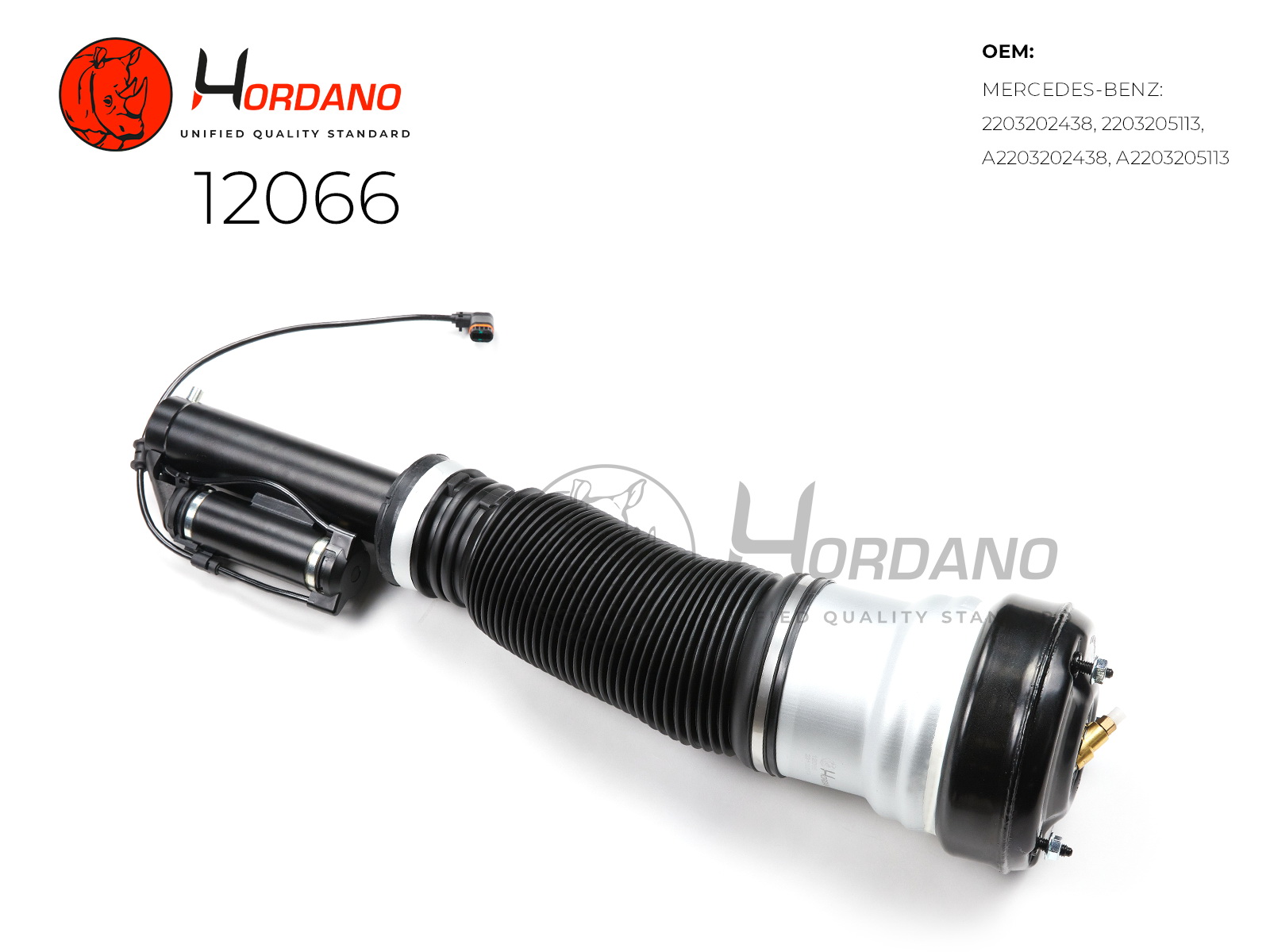 12066 — Пневматический амортизатор HORDANO