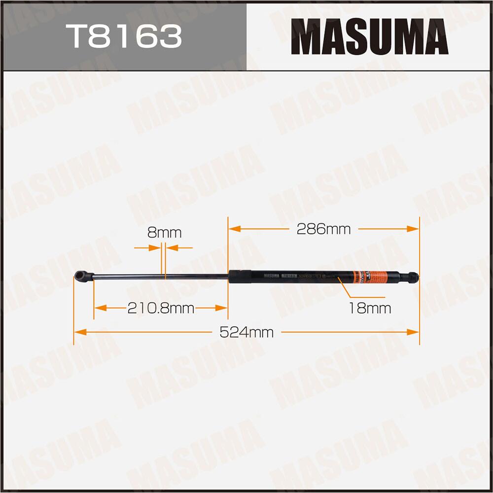 T8163 —  MASUMA