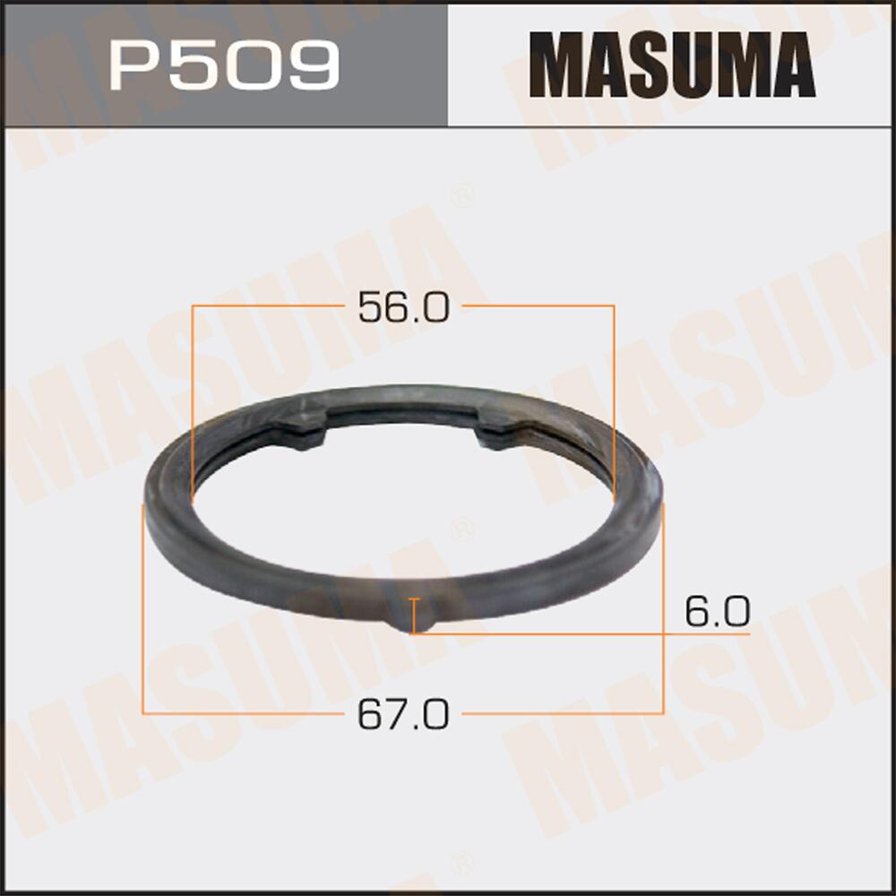 P509 — Деталь_MASUMA_P509 MASUMA