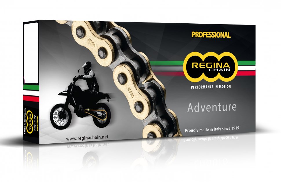 525ZRE110 — _525ZRE-110 Цепь для мотоцикла  525 / 110 звен. (137ZRE/011), REGINA ENDURO Regina
