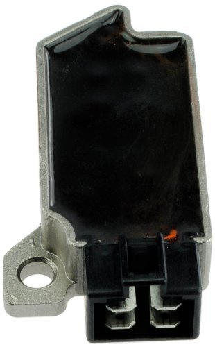 RGU202 — Регулятор напряжения TOURMAX