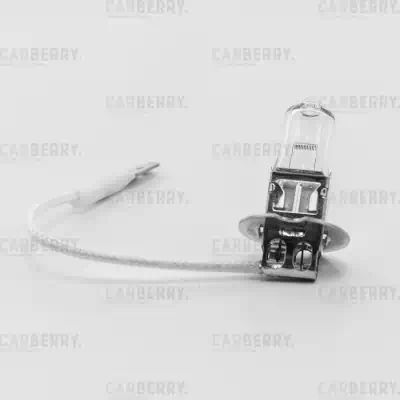 31CA12 — Лампа CARBERRY