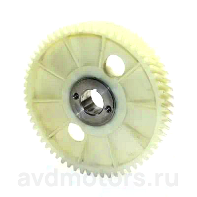 5111006020 — Шестерня распредвала газ RIGINAL