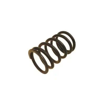 210101007020008 — Пружина клапана БЕЛЗАН