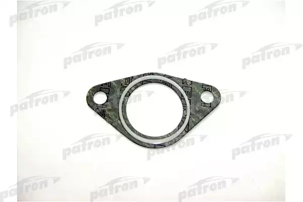PG51009 — Прокладка впускного коллектора BMW, OPEL OMEGA 2.5TD V6 91 (6) PATRON