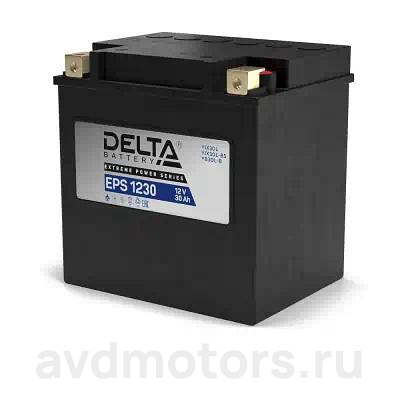 EPS1230 — Аккумуляторная батарея DELTA