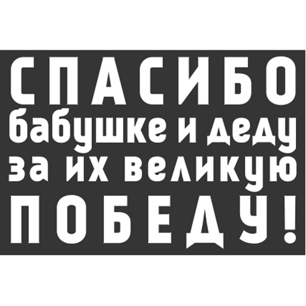 S08102015 — Наклейка SKYWAY