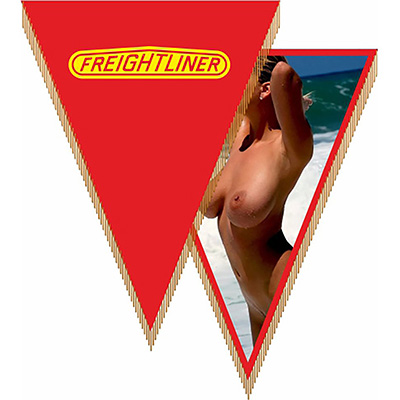 S05101018 — Вымпел треугольный FREIGHTLINER SKYWAY