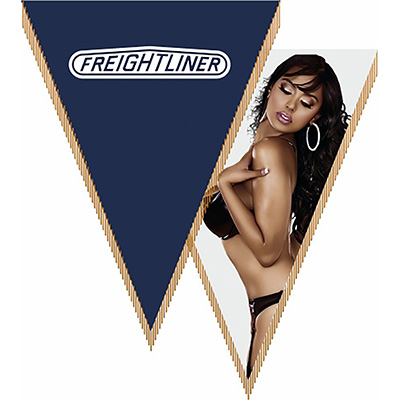S05101019 — Вымпел треугольный FREIGHTLINER SKYWAY