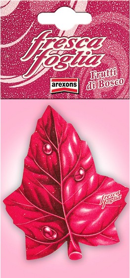 1635 — KITTHULEFORDGRANDCMAX5DRMPVWITHOUTRAILING10	 THULE