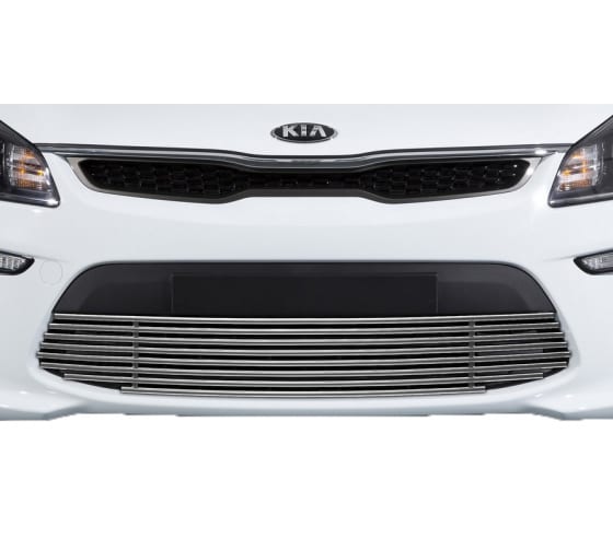G2803001 — Решетка бампераRIVALD10 для KIA RIO IV 2017нв, нержавеющая сталь, G2803001 RIVAL