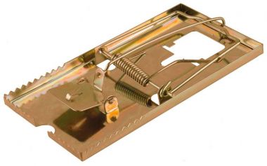 40490L — Крысоловка STAYER MASTER  металлическое основание STAYER