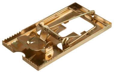 40490S — Мышеловка STAYER MASTER  металлическое основание  малая STAYER