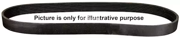 1118102500 — Ремень поликлиновой JP GROUP