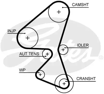 5656XS — Ремень ГРМ GATES