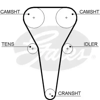 5567XS — Ремень зубчатый GATES