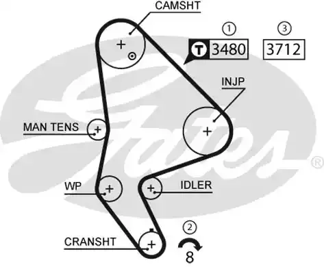 5590XS — Ремень ГРМ GATES