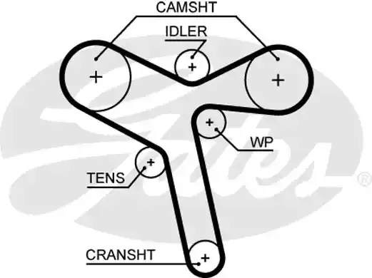5647XS — Ремень грм  GATES