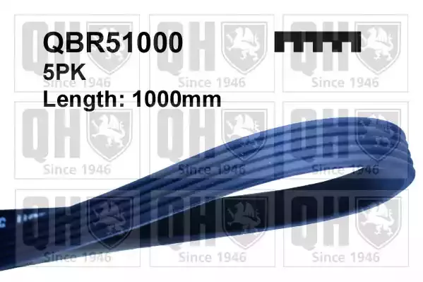 QBR51000 — Ремень поликлиновой(1000 мм) QUINTON HAZELL