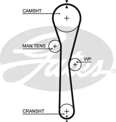 5577XS — Ремень зубчатый(95,23,) GATES