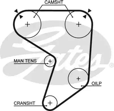 5196 — Ремень зубчатый(169,25,) GATES