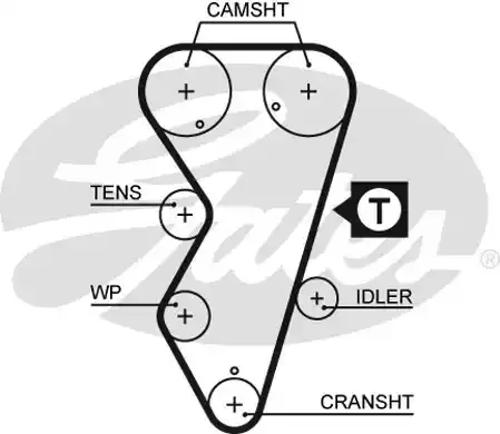 5412XS — Ремень зубчатый(134,25,) GATES